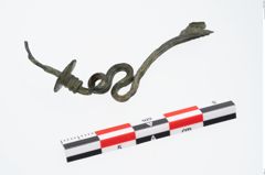 Foto von Bronzeschlangenfibel (NHMW-PRAE-026454)